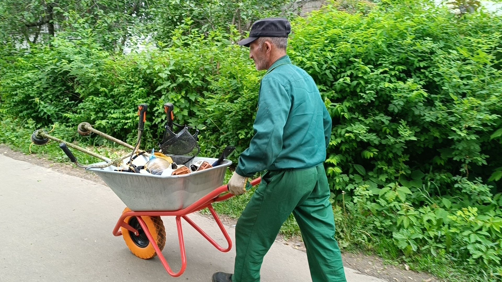 трава, лобня, благоустройство, жкх,