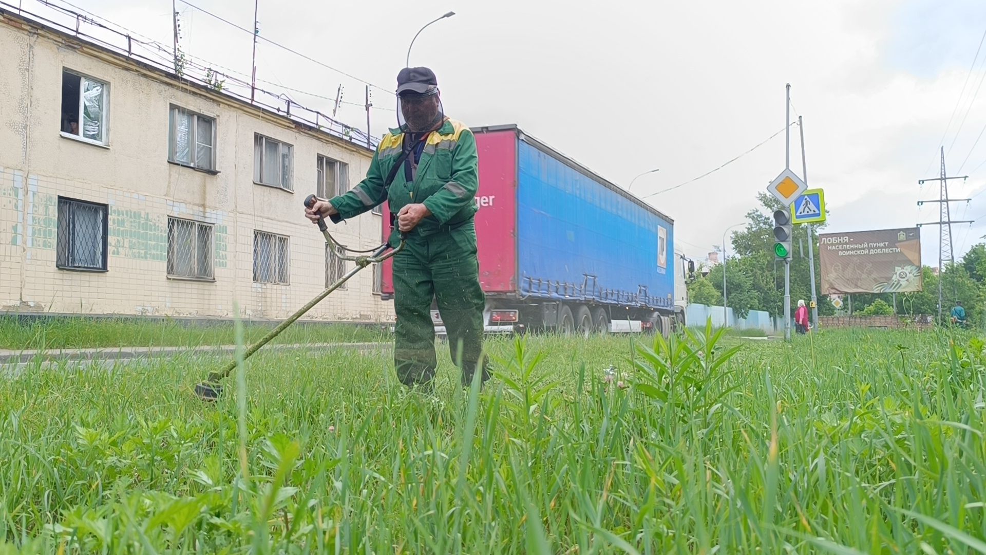 трава, лобня, благоустройство, жкх,