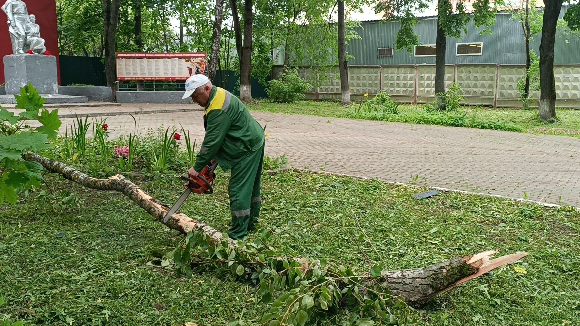 трава, лобня, благоустройство, жкх,