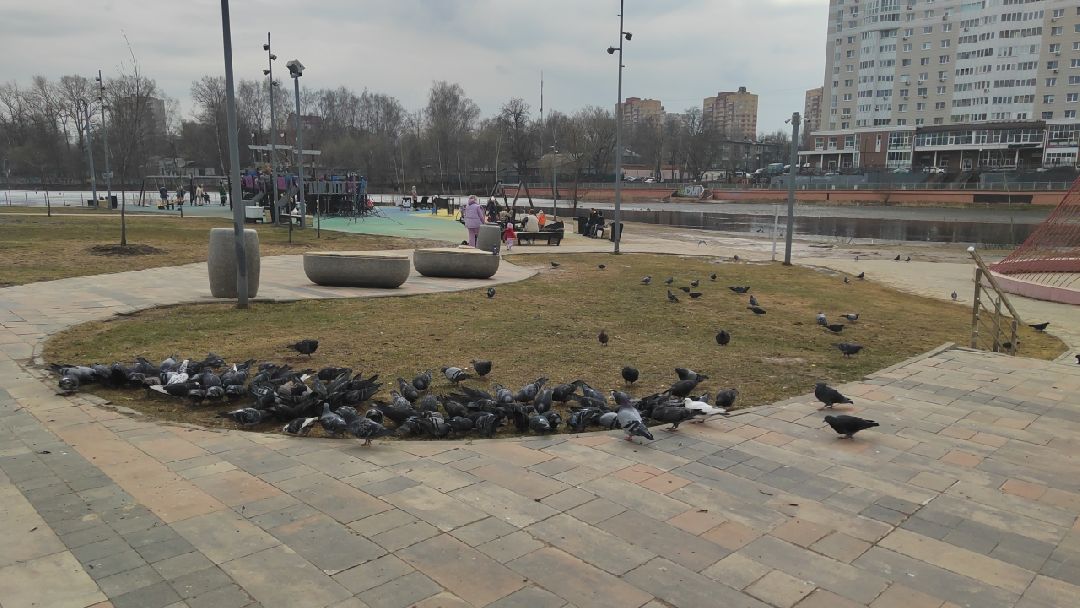 Пушкино, Пушкинский округ, весна в Подмосковье, люди, дети, общество, весна