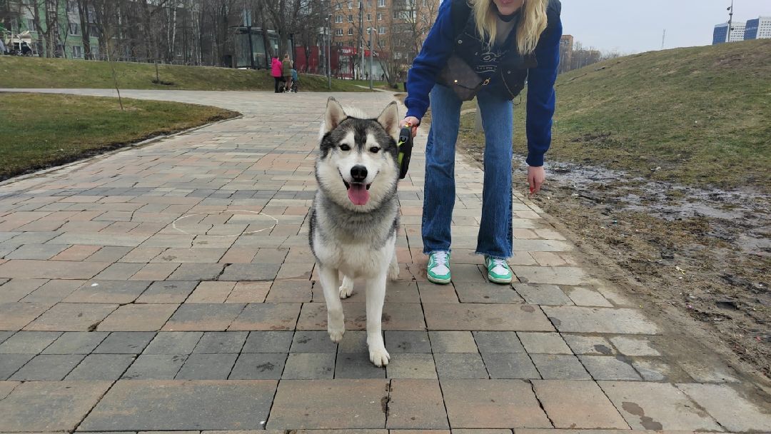 Пушкино, Пушкинский округ, весна в Подмосковье, люди, дети, общество, весна