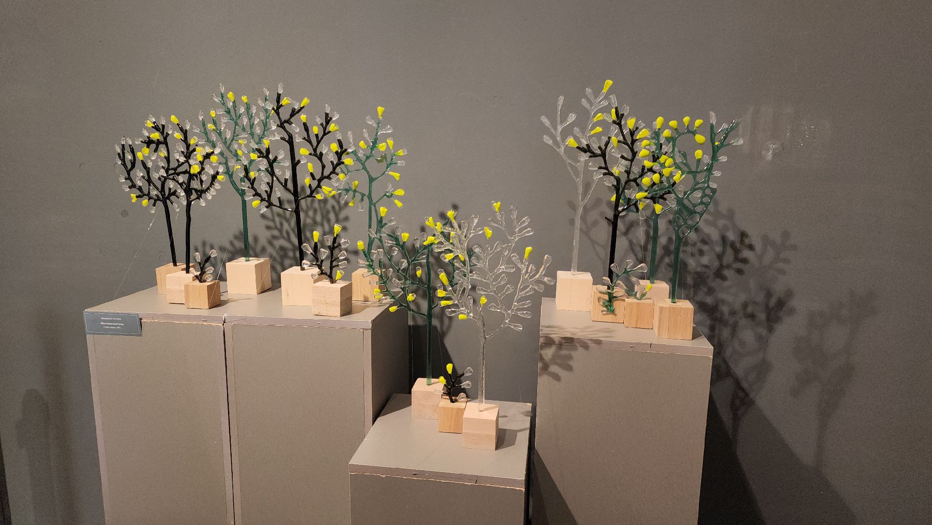 егорьевск, выставка, музей, пушкин, пушкинский день, керамика, стекло,гобелен,