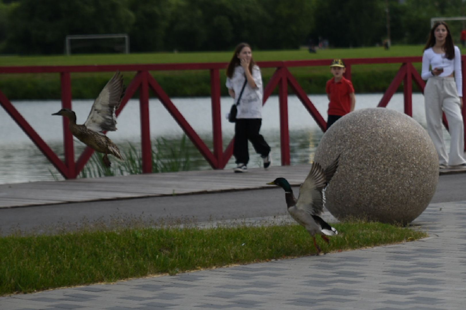 Бронницы, Парк Бронницкий Луг, Мероприятия в парке, Пушкиниана, В парке о Пушкине,