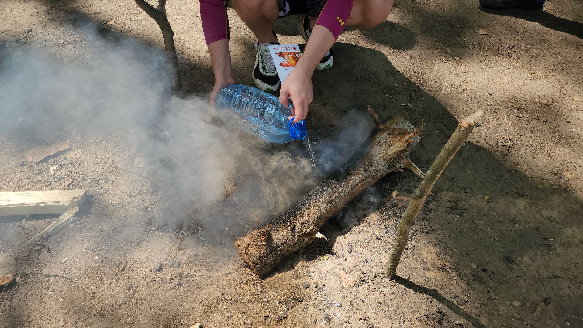 лес, пожарная безопасность, пожарная безопасность в лесу, руза, экология, рузский городской округ, московская область,