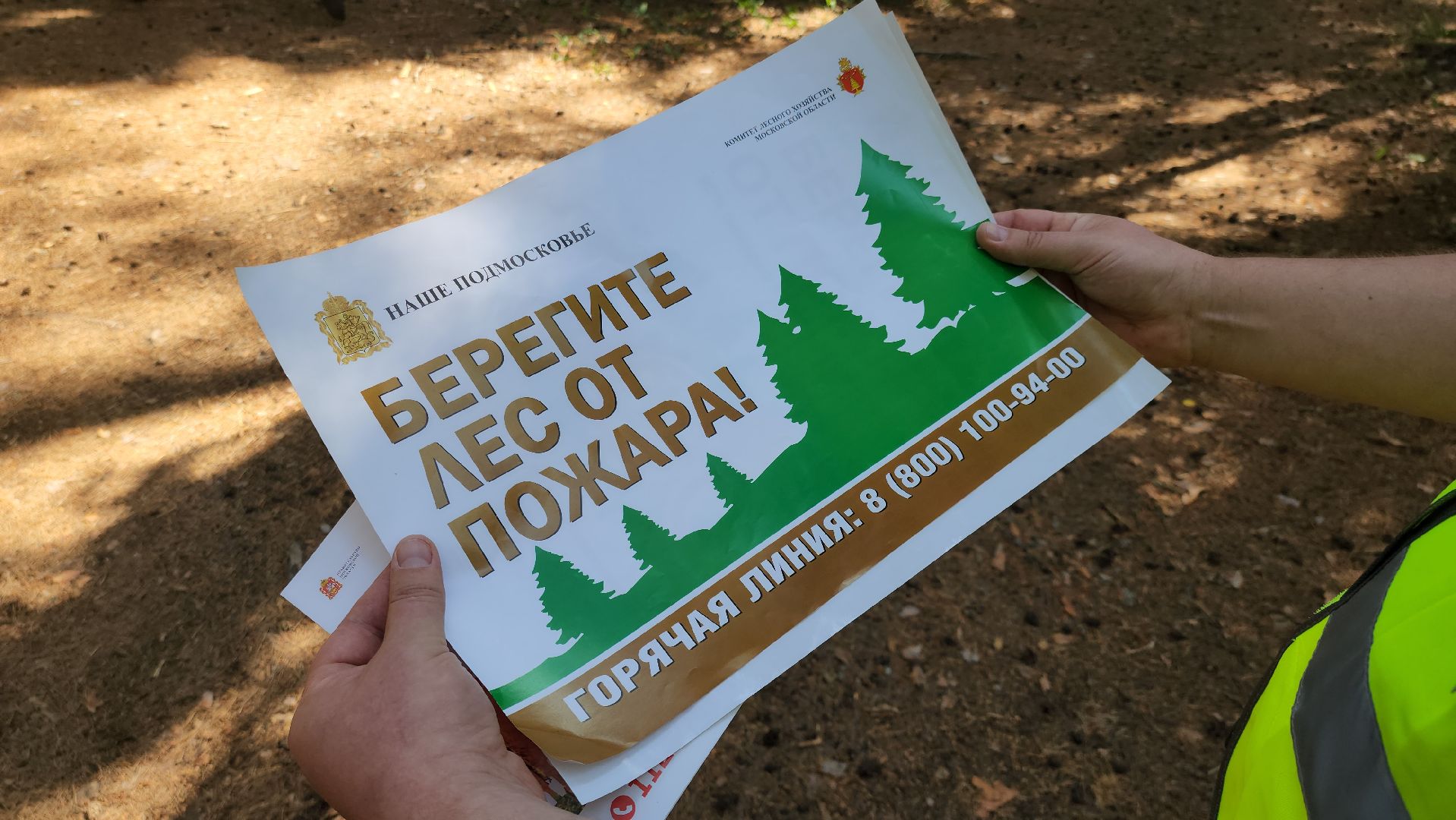 лес, пожарная безопасность, пожарная безопасность в лесу, руза, экология, рузский городской округ, московская область,