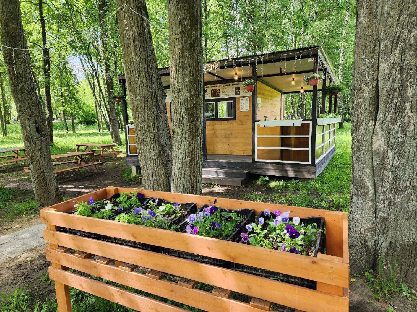 чехов, экономика, кафе с верандой, выпечка, госуслуги,