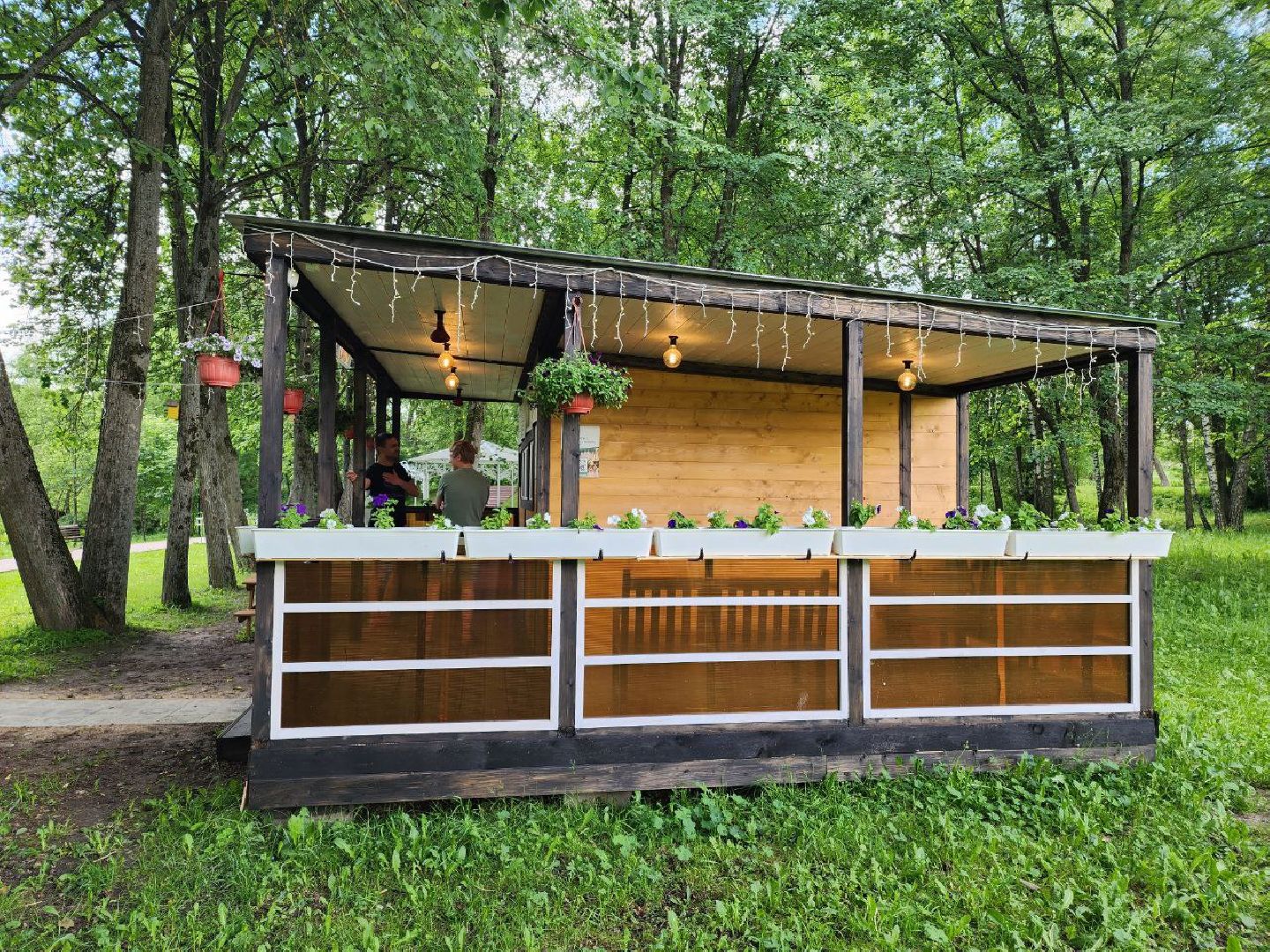 чехов, экономика, кафе с верандой, выпечка, госуслуги,