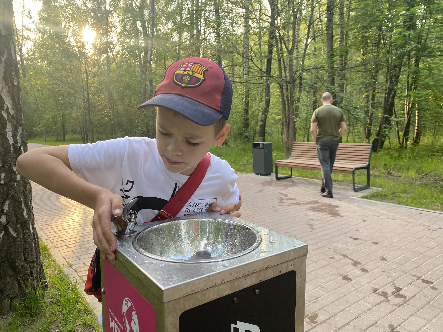 Домодедово, Подмосковье, мособлпарк, Культура, Барьер, Питьевой фонтанчик, Экология, окружающая среда, защита природы,