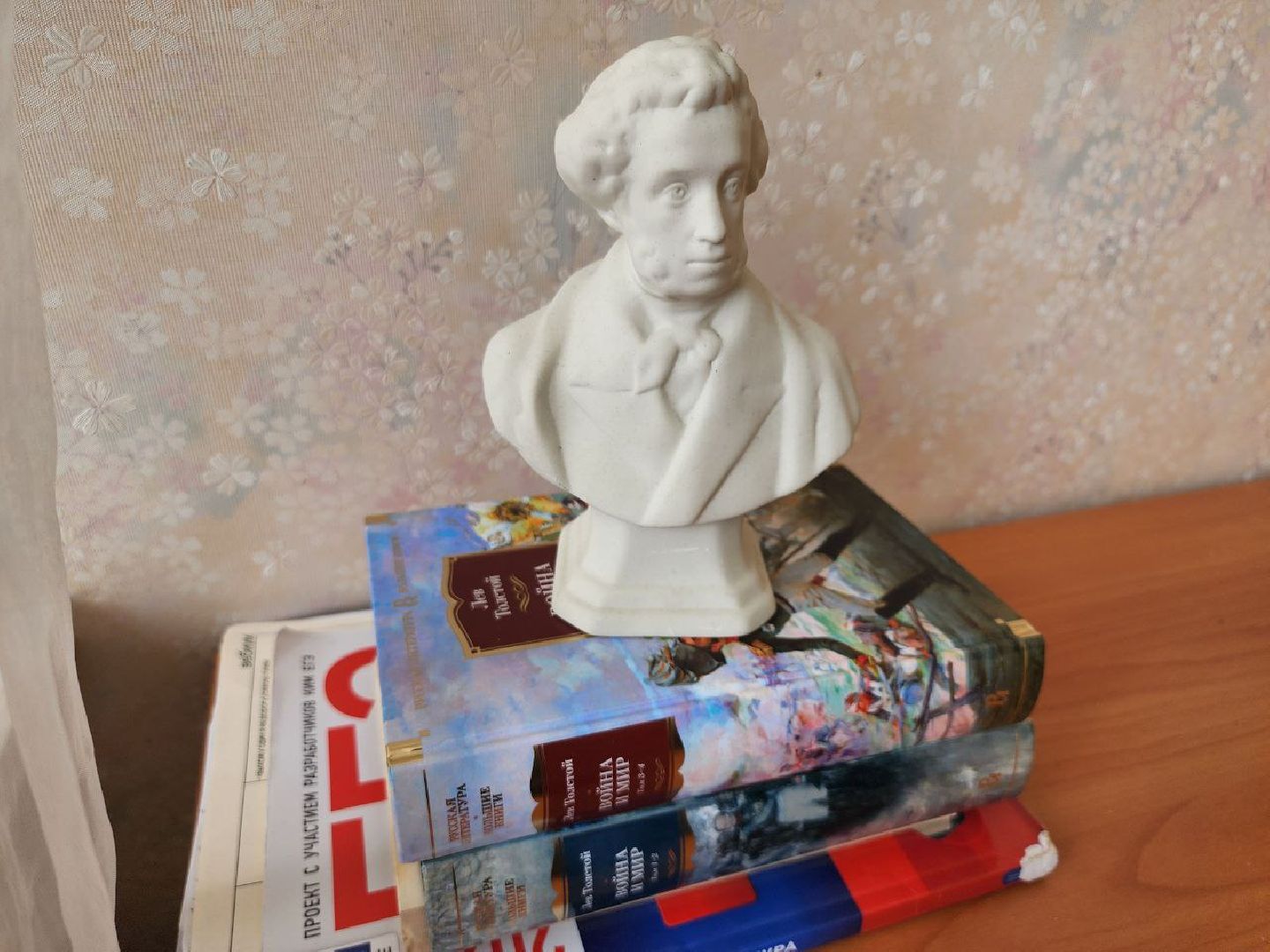 образование, егэ, госэкзамен, единый госэкзамен, стобалльница, выпускница, 11 класс, 7 школа, видное,