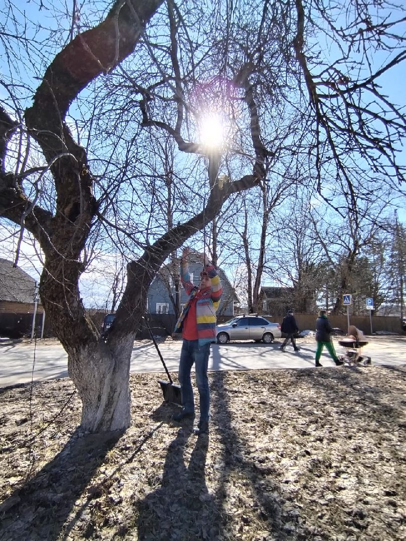 Субботник, месячник благоустройства, Верея, Апрелевка, Наро-Фоминск