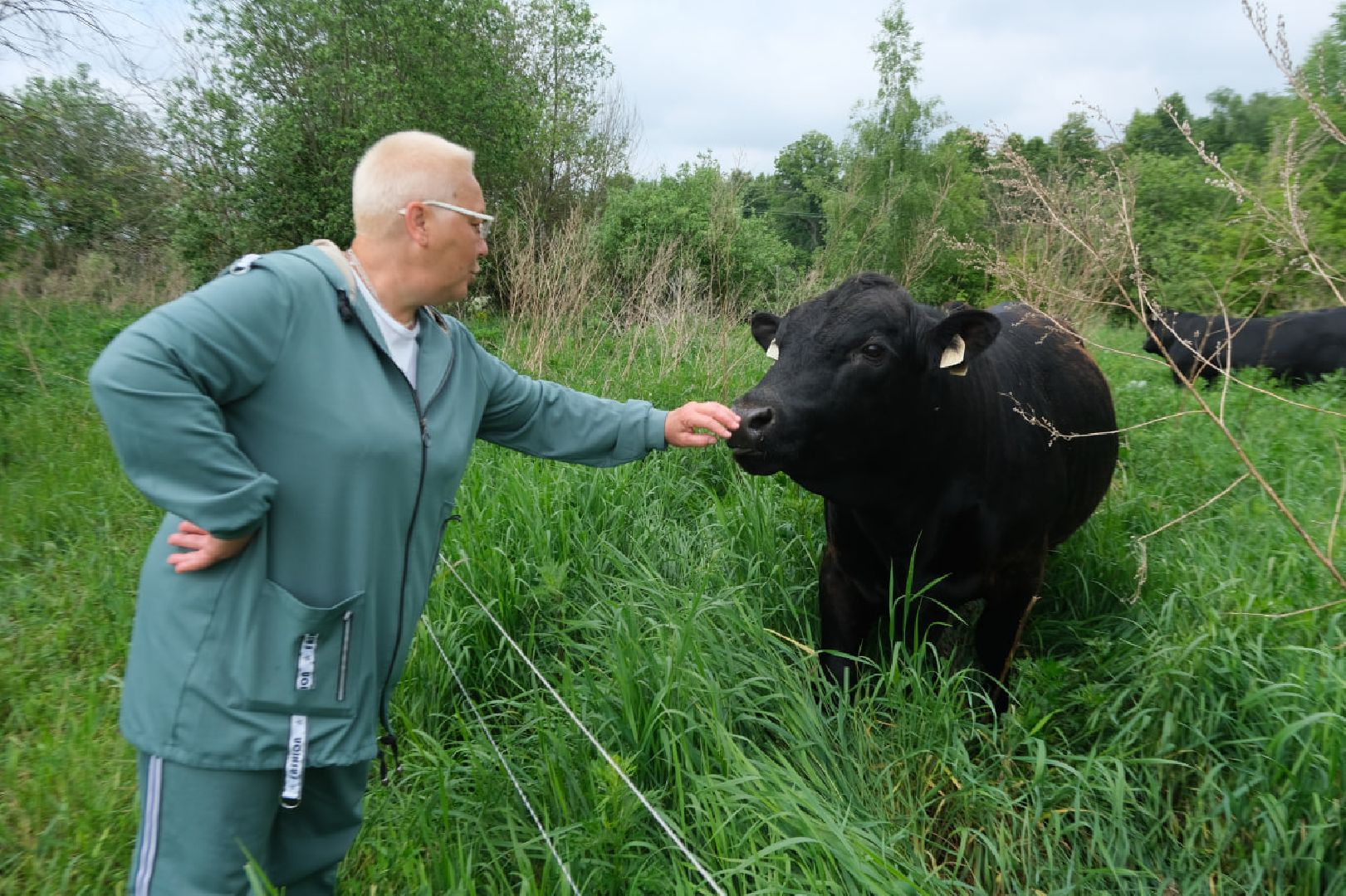 пущино, серпухов, экономика, импортозамещение,