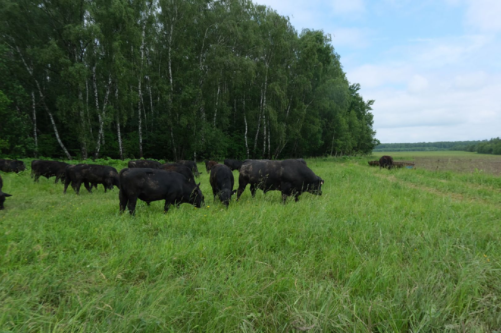 пущино, серпухов, экономика, импортозамещение,