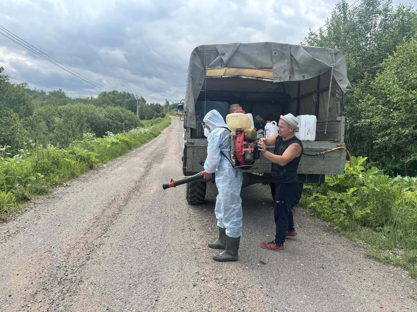 шаховская, борщевик, борщевик сосновского, борьба с борщевиком,