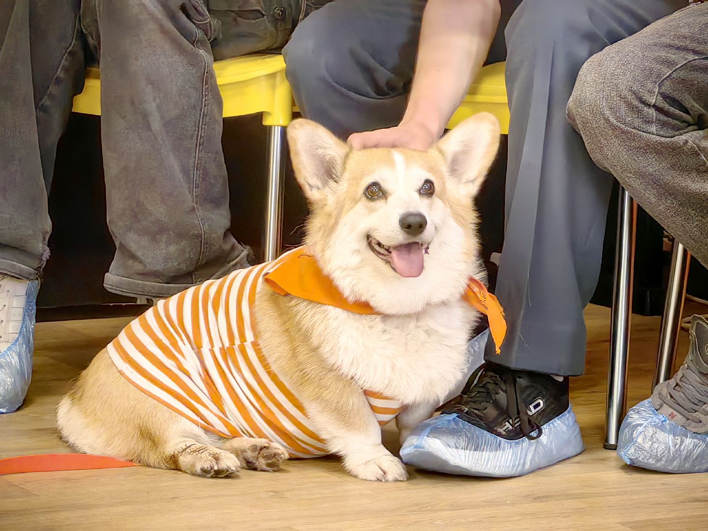 центр реабилитации, дети с ОВЗ, День России, молодая гвардия, праздник, ростовые куклы, шары, настольные игры, щёлково,