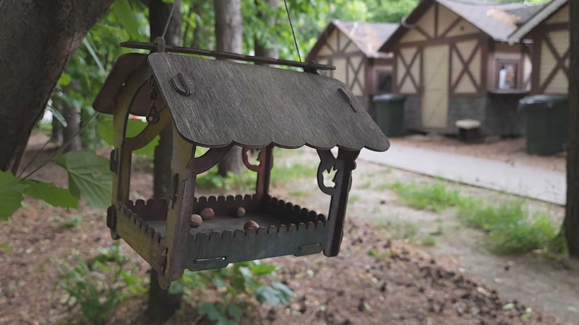 одинцово, парк, птицы, утки, белки, корм, экология,