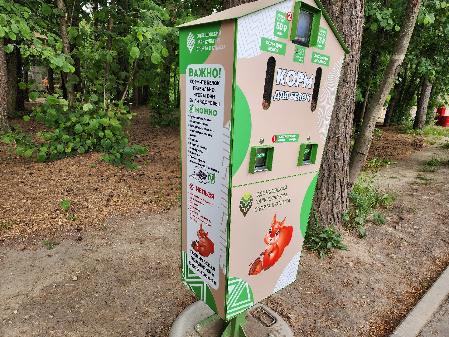 одинцово, парк, птицы, утки, белки, корм, экология,