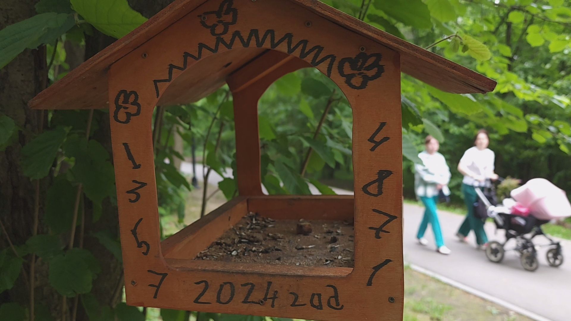 одинцово, парк, птицы, утки, белки, корм, экология,