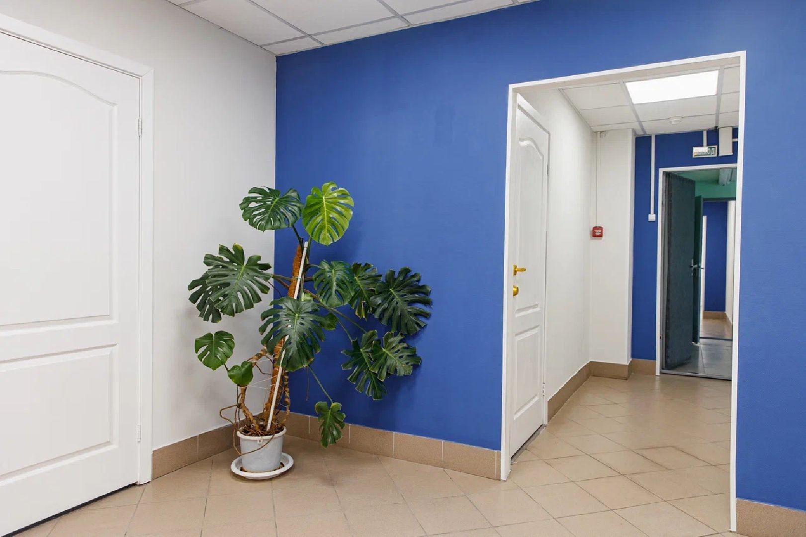 Здравоохранение, ремонт, Орехово-Зуево, Куровское, Заголовацкий