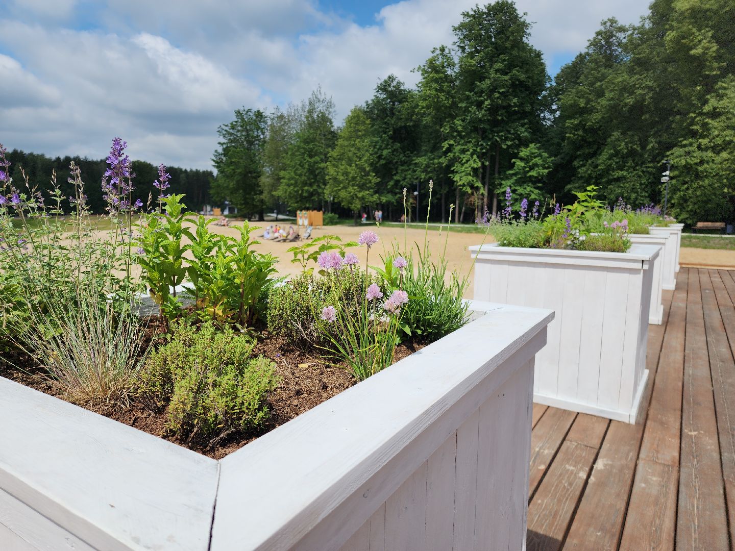 культура, активное долголетие, подмосковье, электросталь, мой город, жители города, пленэр, мастер-класс,