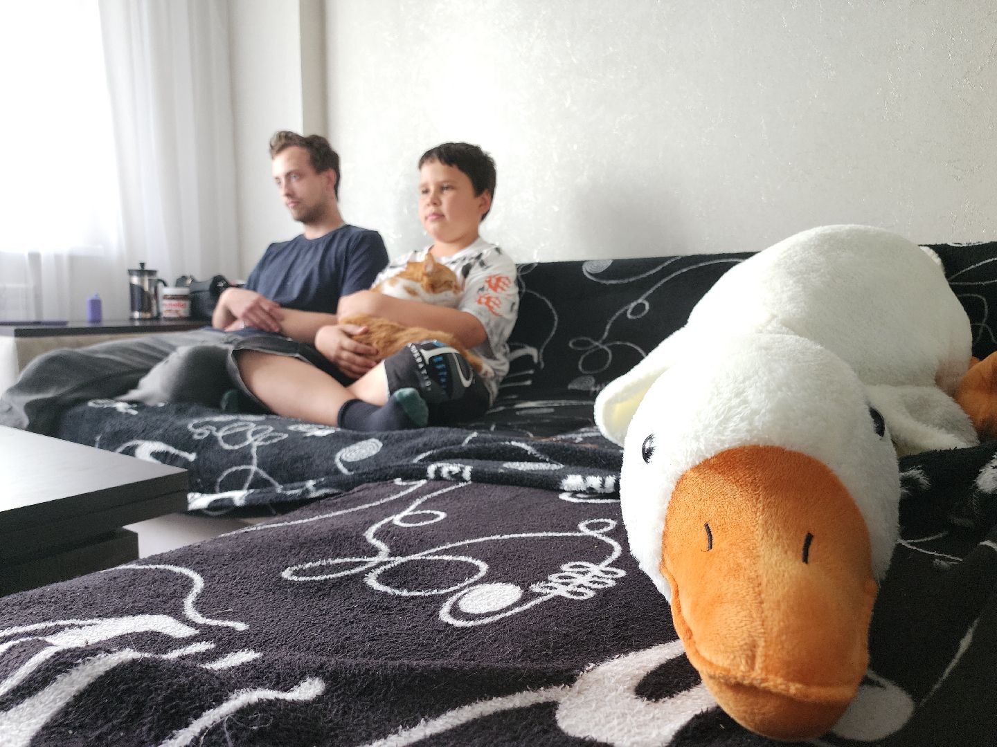 Егорьевск, переселение, переселение из аварийного жилья, Подмосковье, Московская область,