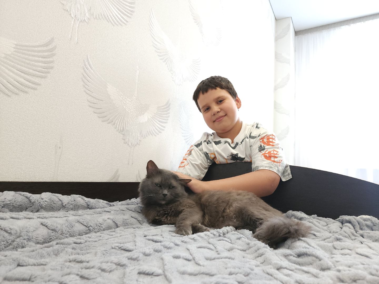 Егорьевск, переселение, переселение из аварийного жилья, Подмосковье, Московская область,