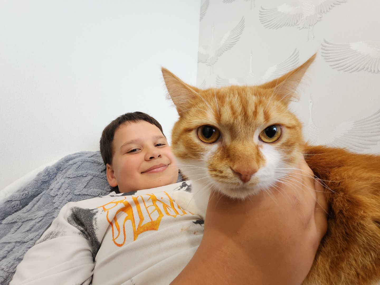 Егорьевск, переселение, переселение из аварийного жилья, Подмосковье, Московская область,