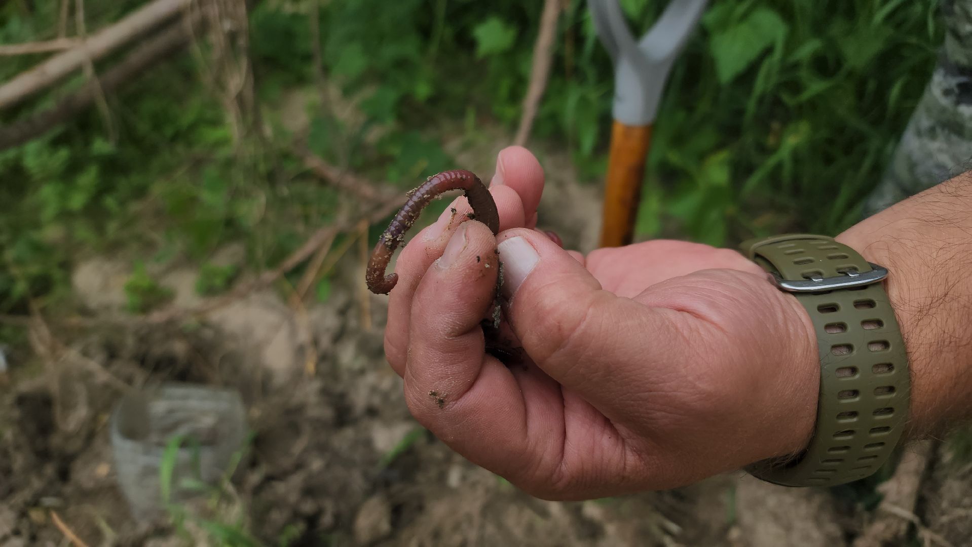ступино, Нерестовый запрет, Рыбалка в Подмосковье,