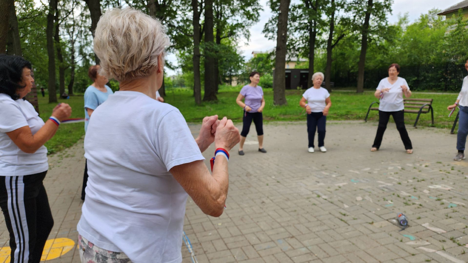 кашира, ожерелье, активное долголетие, флешмоб, танец, день россии, флаг россии,