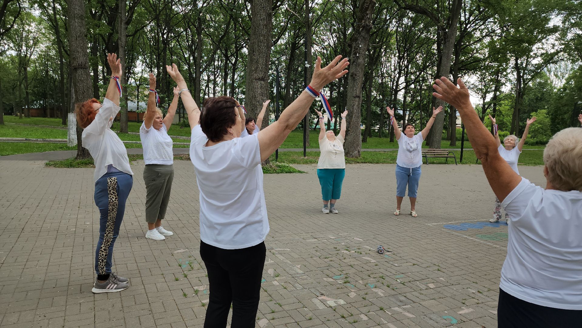кашира, ожерелье, активное долголетие, флешмоб, танец, день россии, флаг россии,