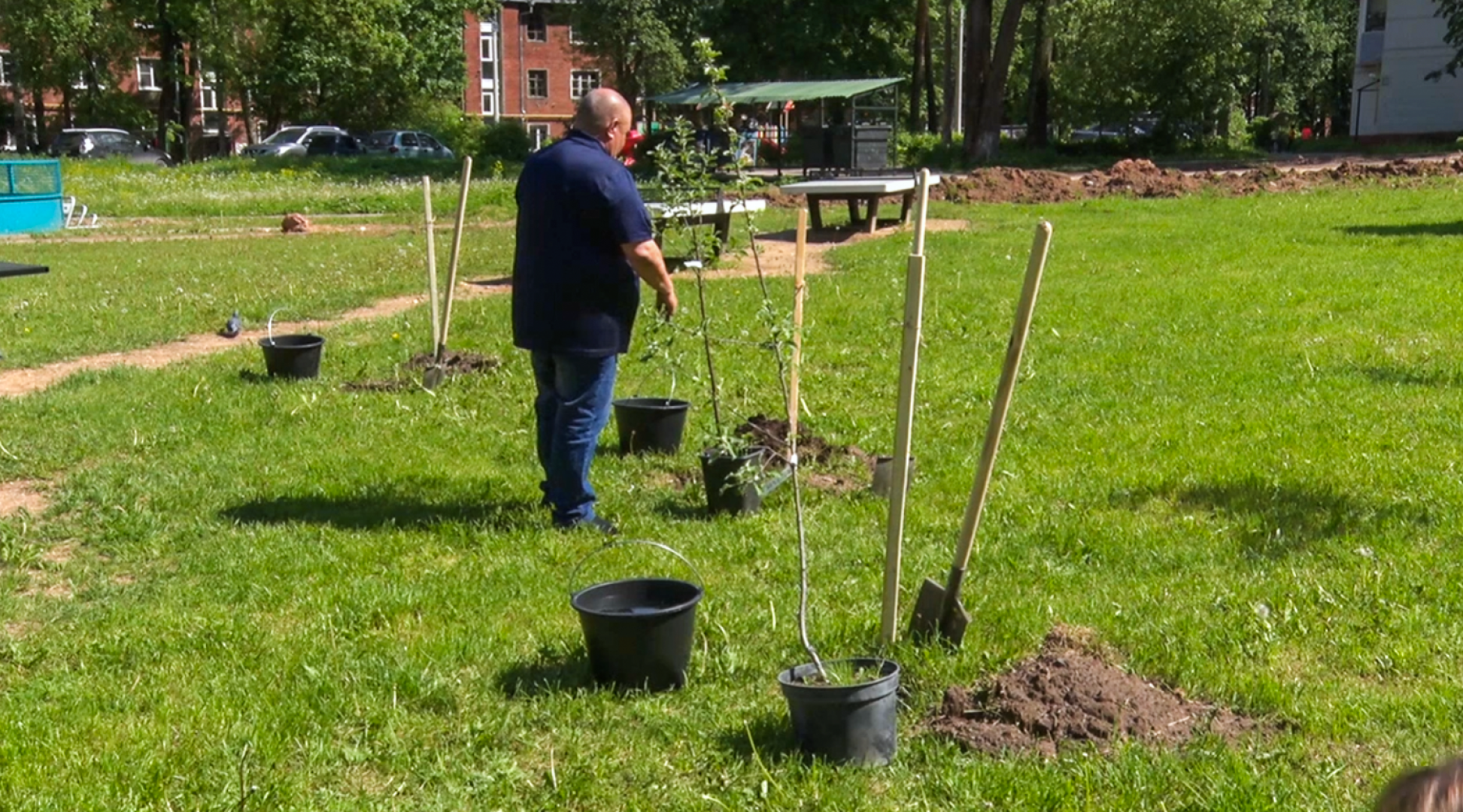 Клин, общество, благоустройство, деревья, сады,