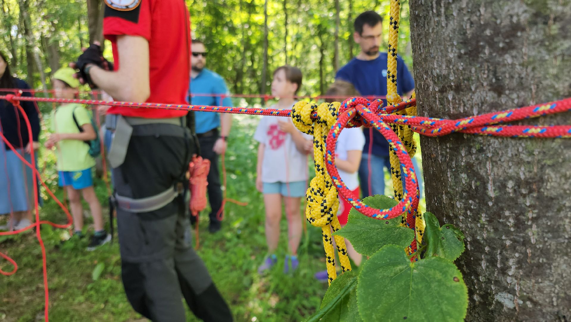 кашира, городской парк, мпсо дельта, спасатели, поисковый отряд, ориентирование, навигация, выживание, радиотехника,