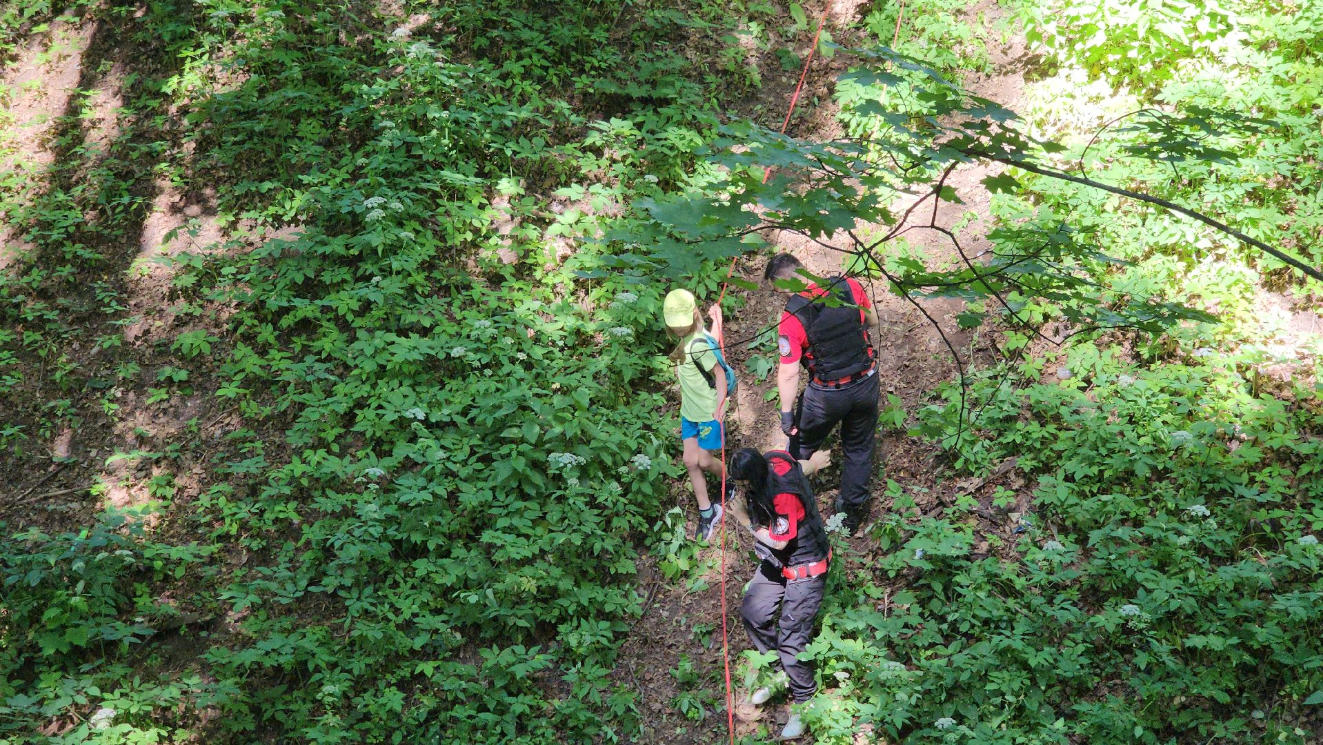 кашира, городской парк, мпсо дельта, спасатели, поисковый отряд, ориентирование, навигация, выживание, радиотехника,
