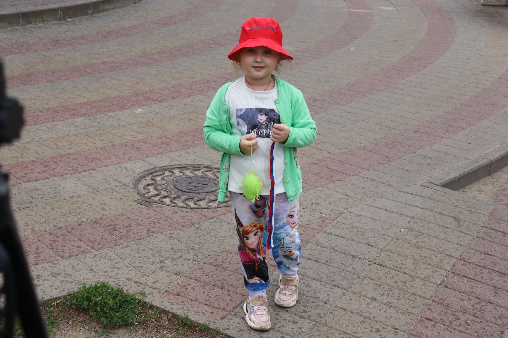 день россии, триколор, волонтеры победы,