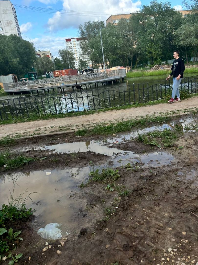 огарь, экология, парк, лобня, птицы, животные,