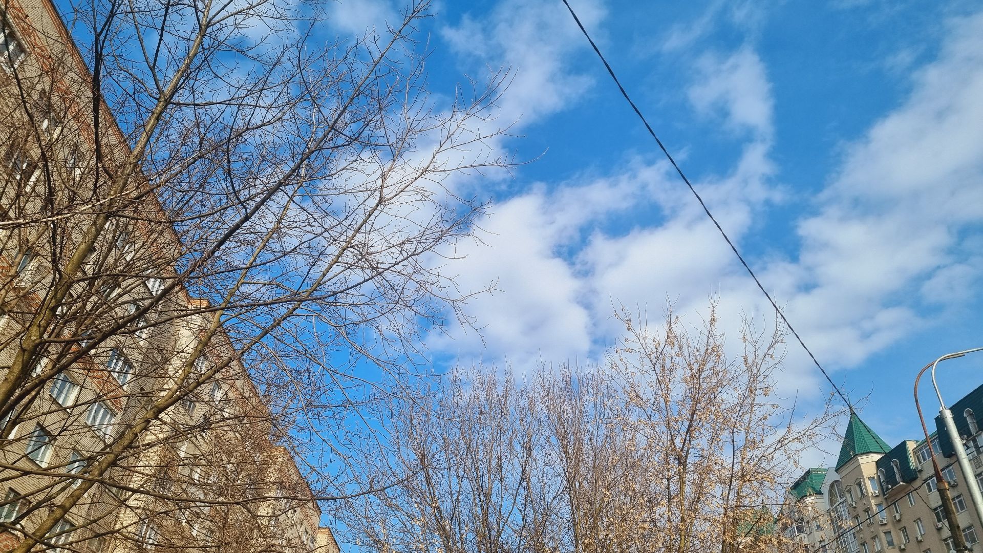 Подмосковье, Ивантеевка, подснежники