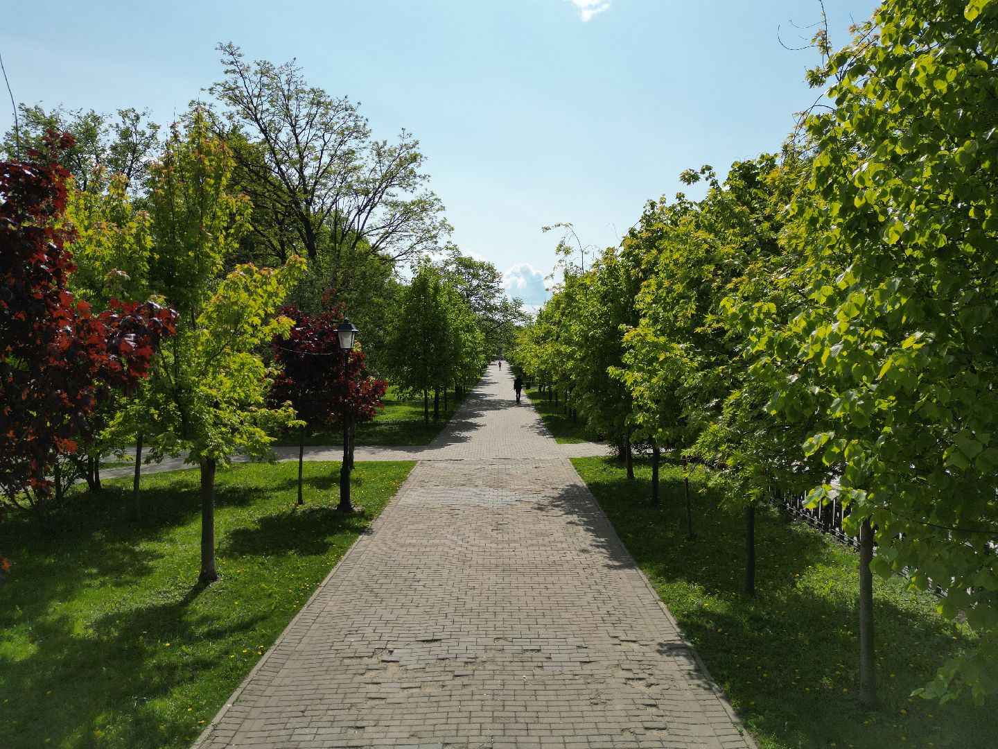 видео с коптера,