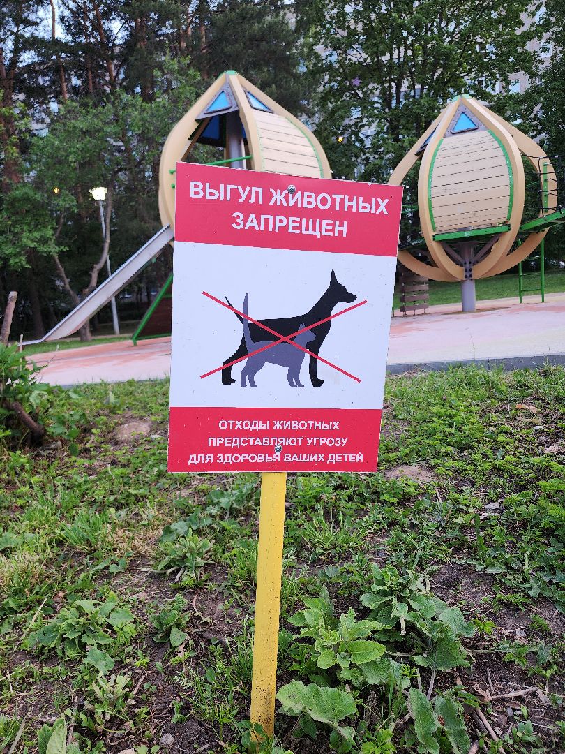 выездная администрация, ленинский округ, видное, глава муниципалитета, станислав каторов, местная власть, ленинский городской округ, лго, дороги,