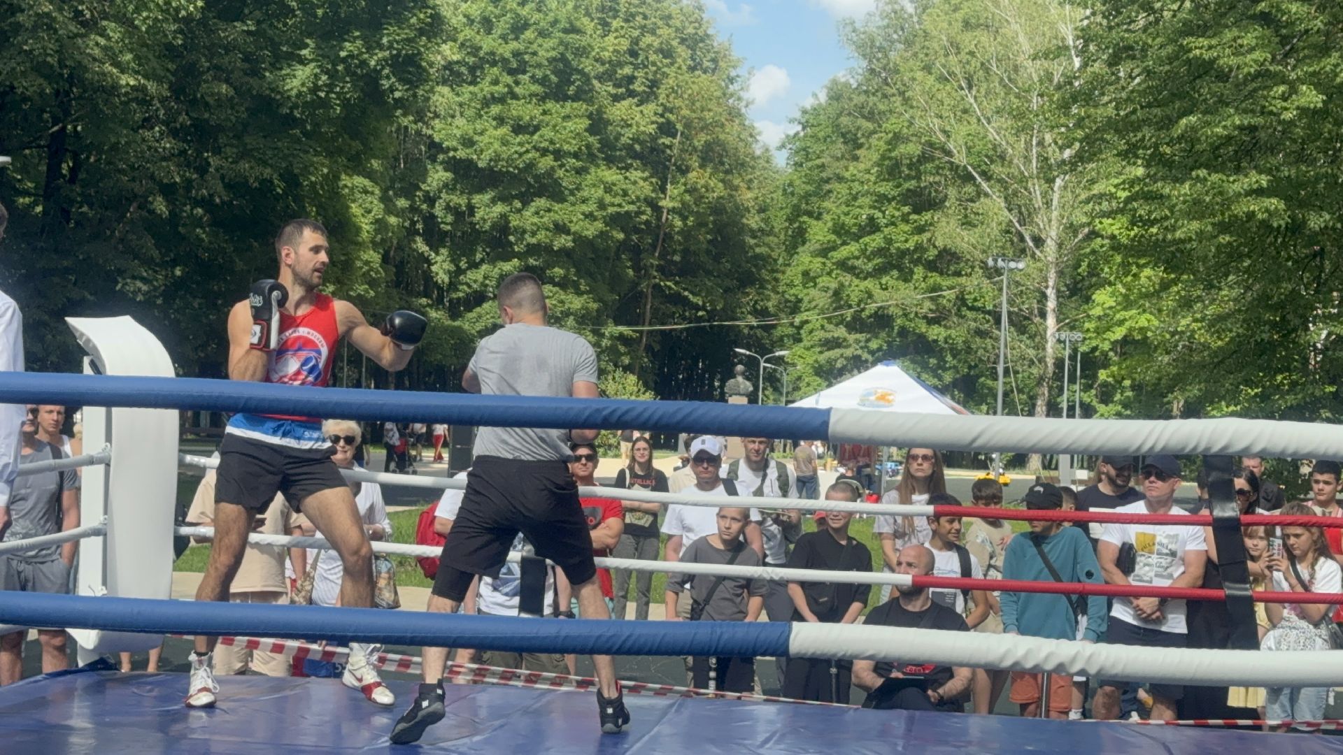 Солнечногорск, Спорт, Бокс, Турнир, Спортсмены,