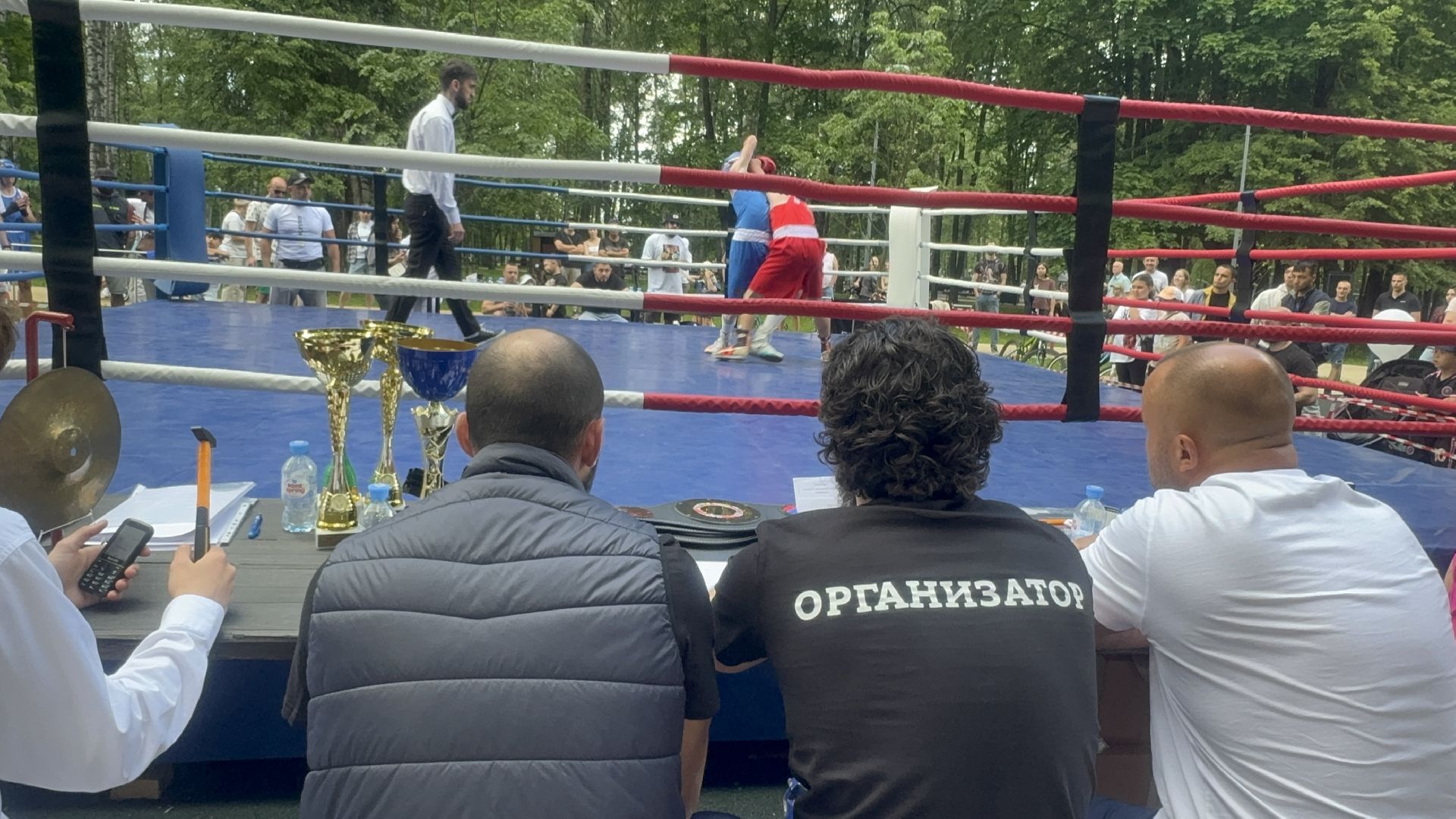 Солнечногорск, Спорт, Бокс, Турнир, Спортсмены,