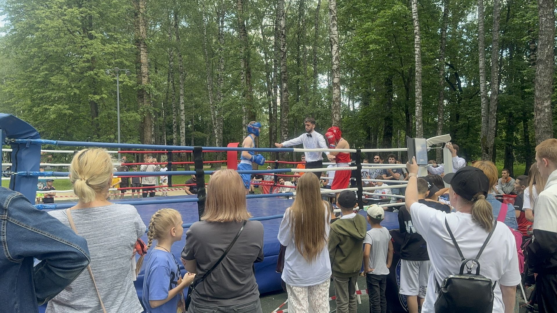 Солнечногорск, Спорт, Бокс, Турнир, Спортсмены,