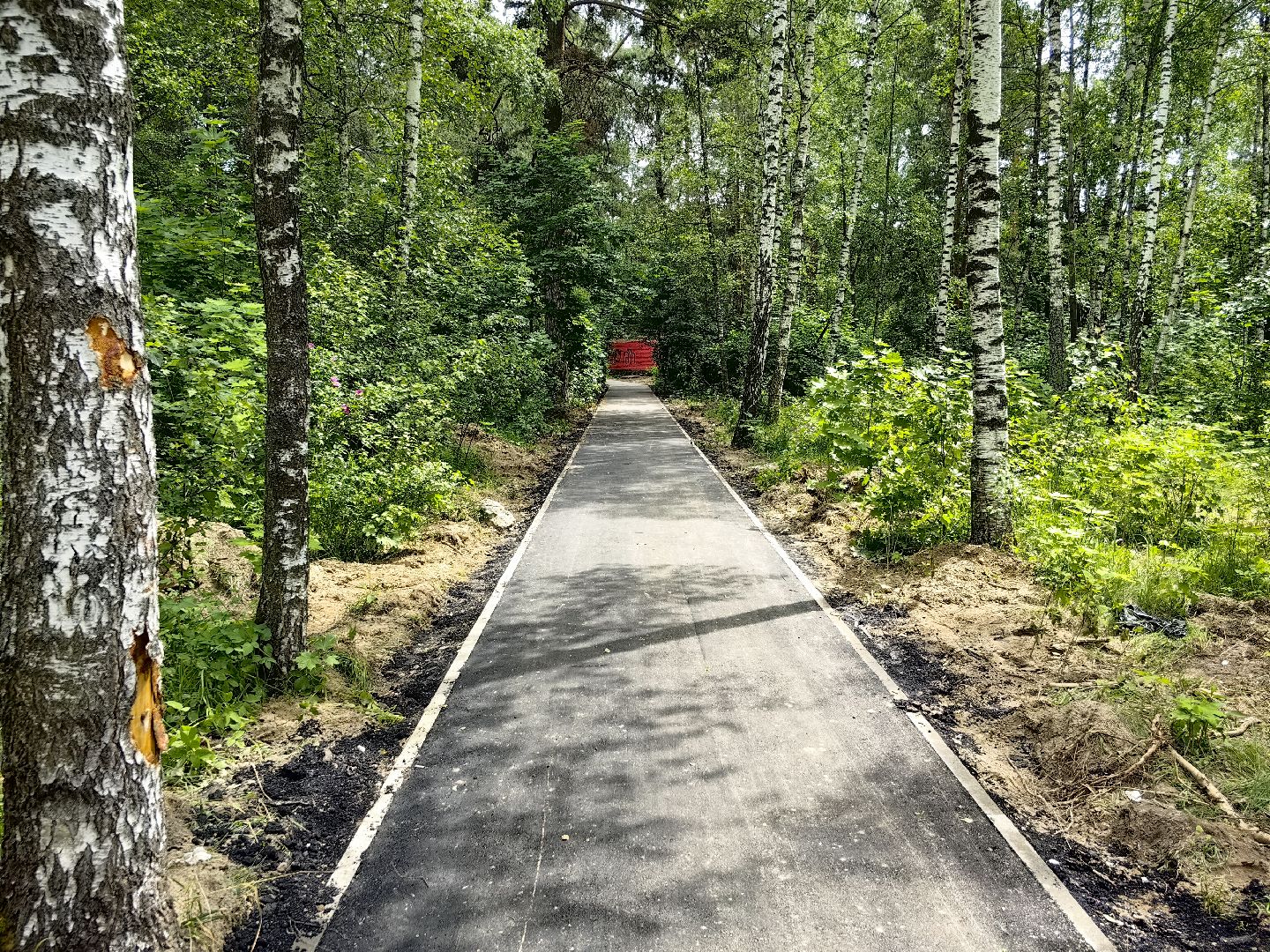 деревня, народная тропа, благоустройство, тротуар, дорожка, щёлково,