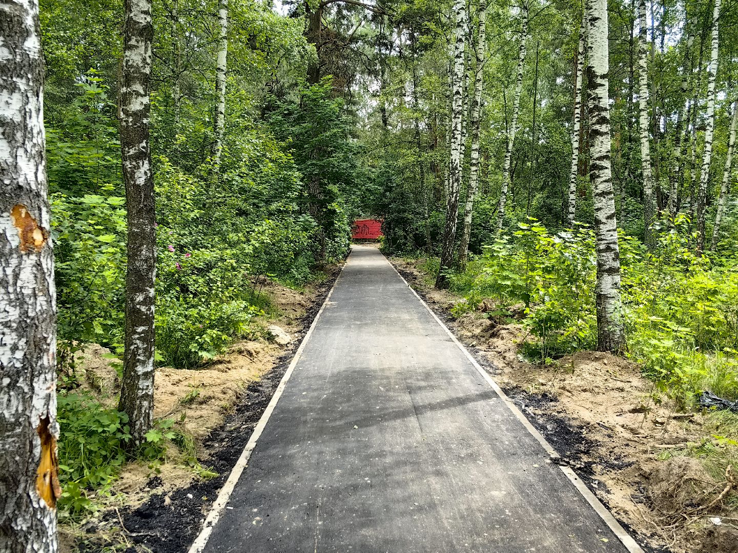 деревня, народная тропа, благоустройство, тротуар, дорожка, щёлково,