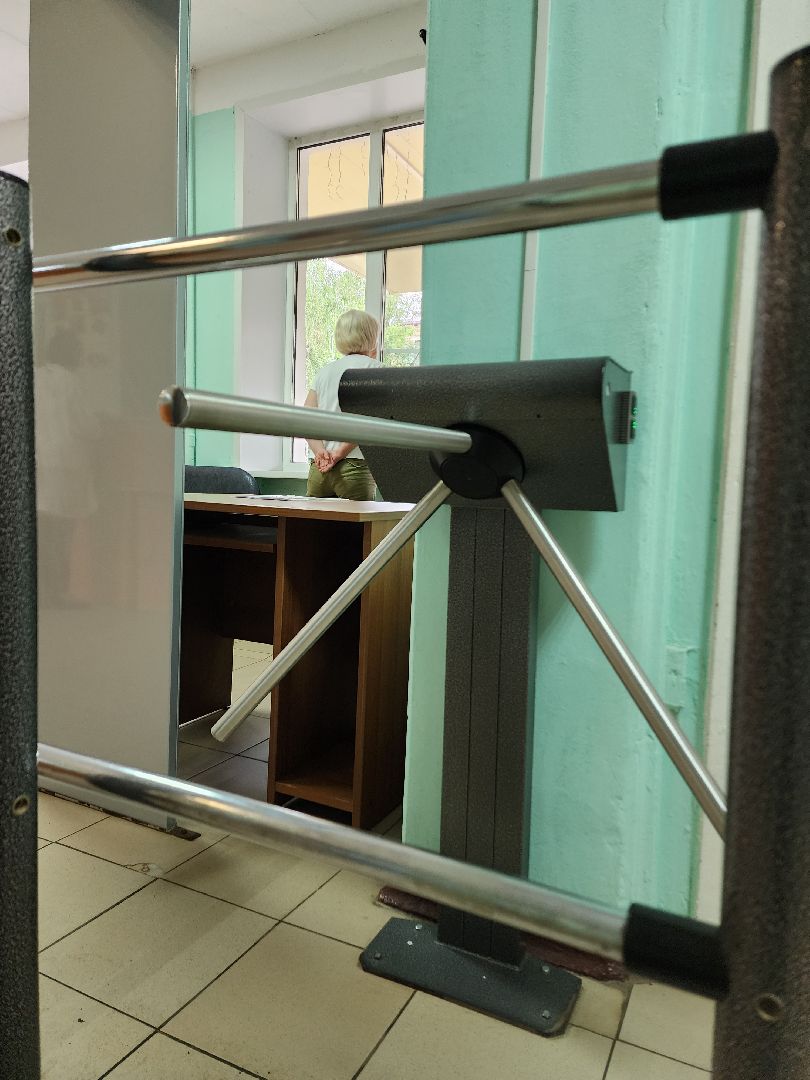 электросталь, лицей 14, образование, образование подмосковья, егэ, огэ,