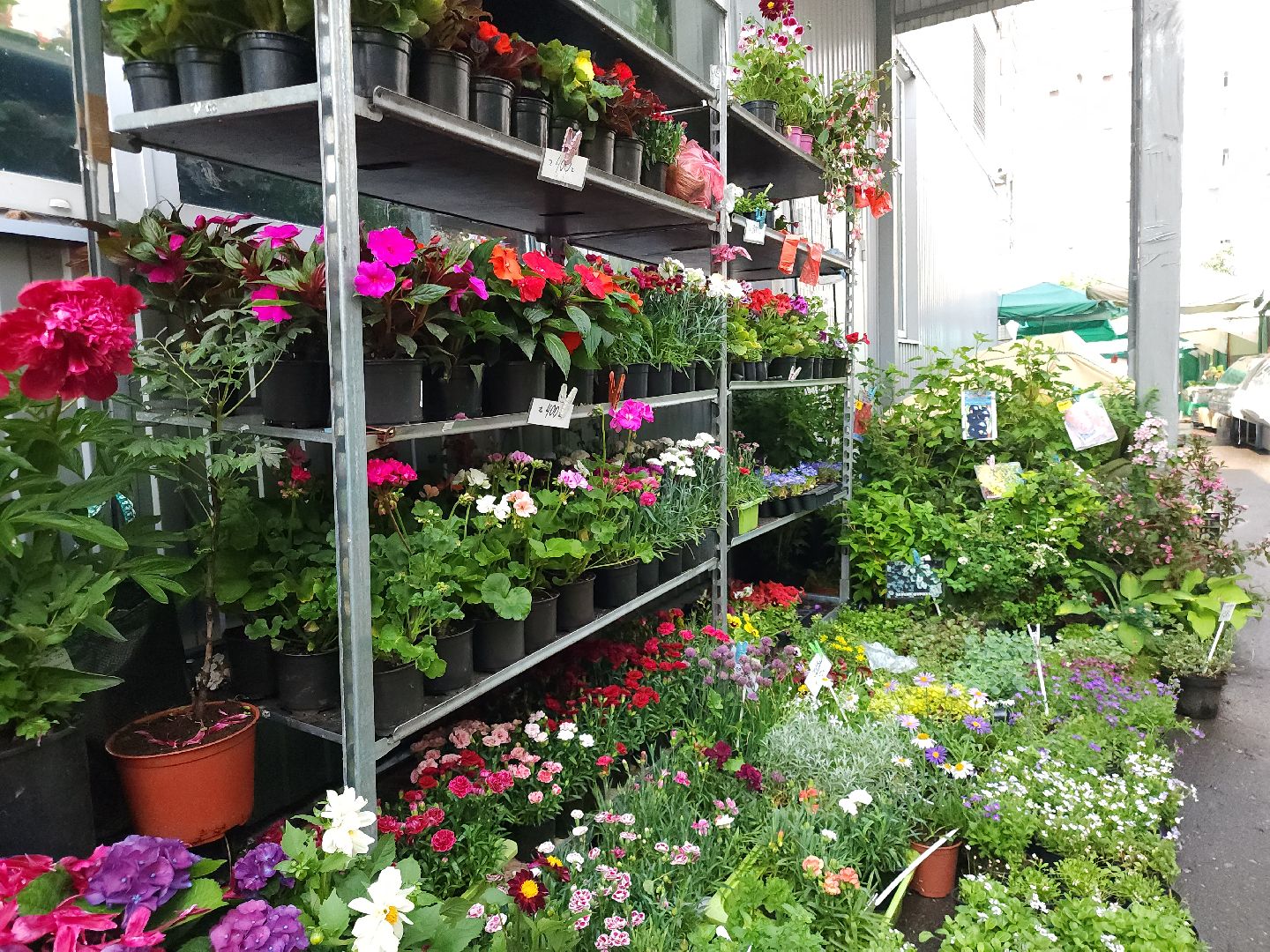 Звенигород, Экономика, Ярмарки,