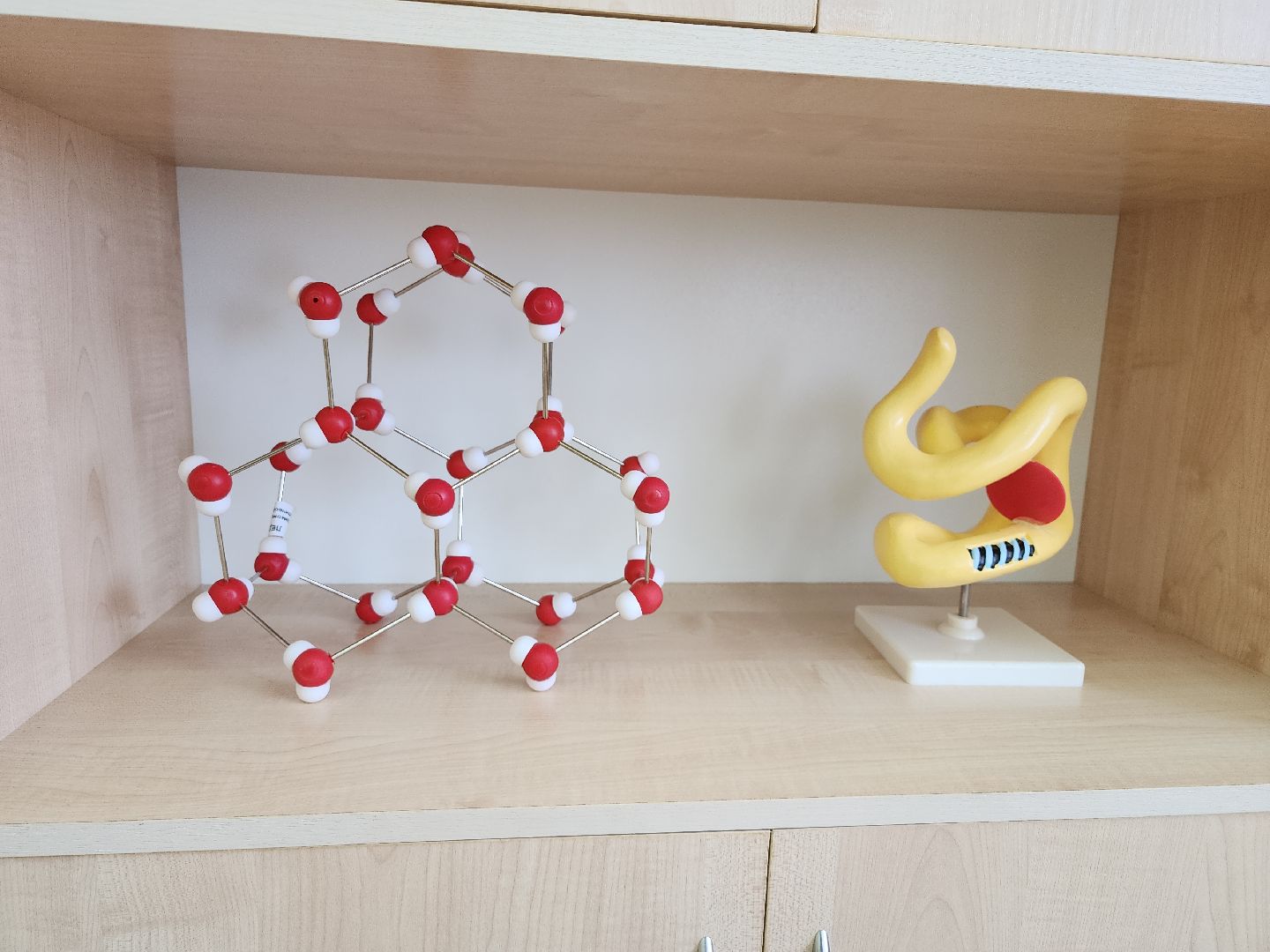 серпухов, подмосковье, стобальник, образование, егэ,