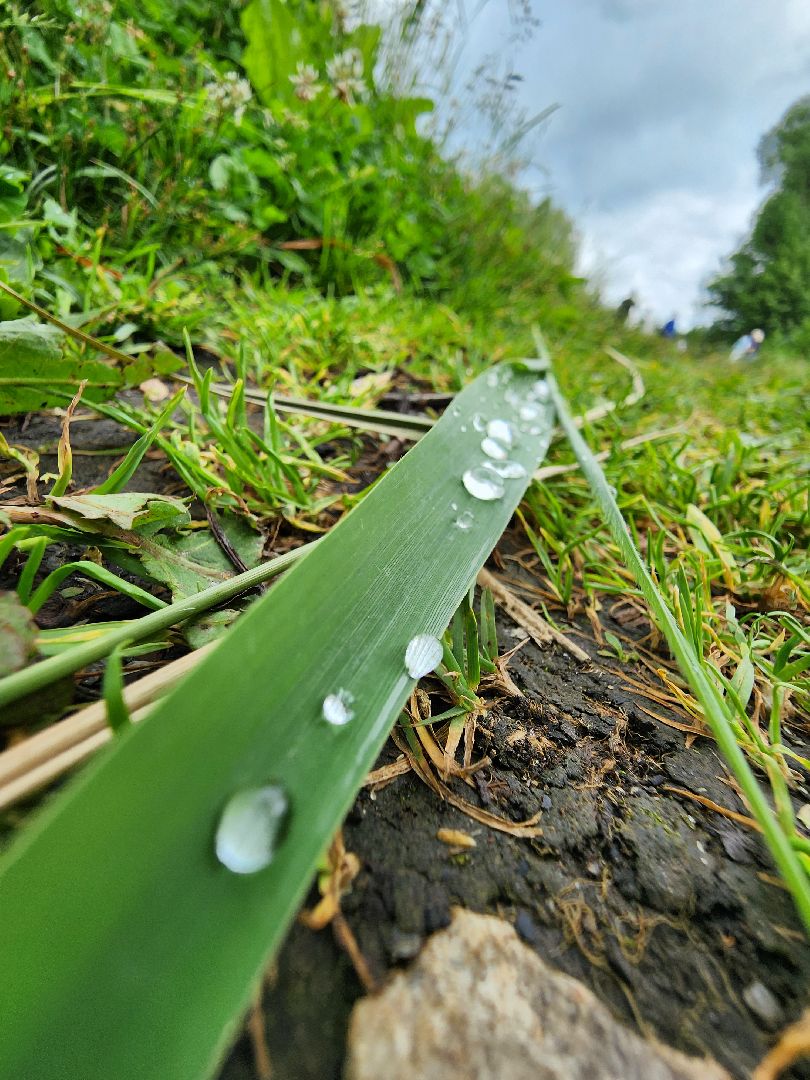 волоколамск, Теряево, экология, акция,