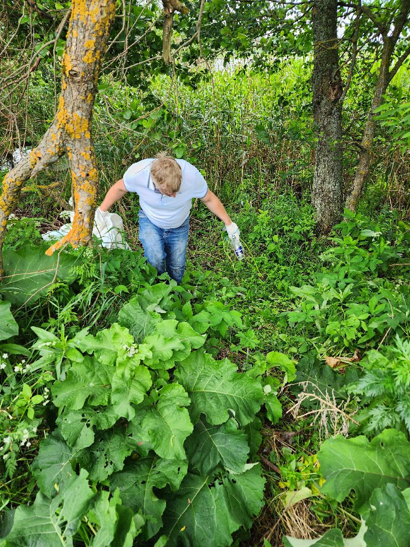 волоколамск, Теряево, экология, акция,