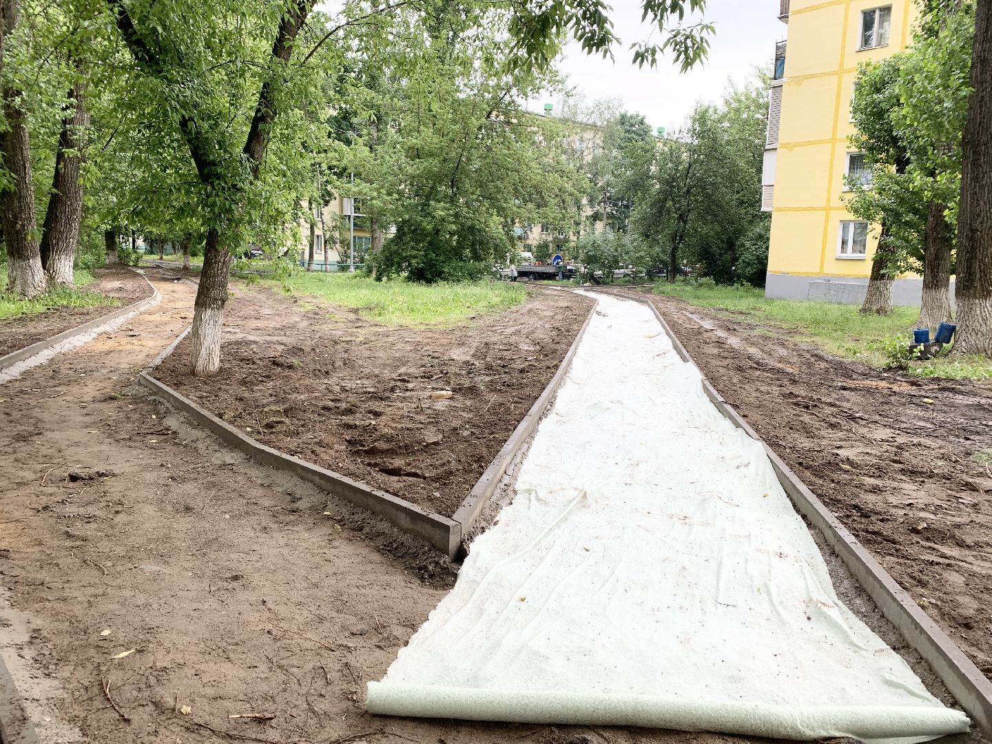 Балашиха, Подмосковье, Дороги, Народные тропы, пешеходная дорожка,