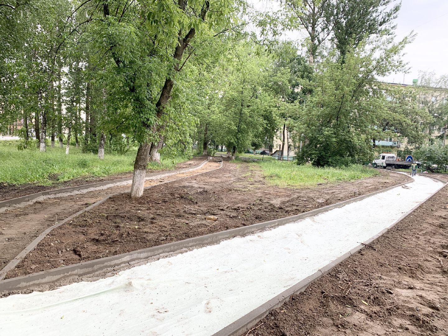 Балашиха, Подмосковье, Дороги, Народные тропы, пешеходная дорожка,