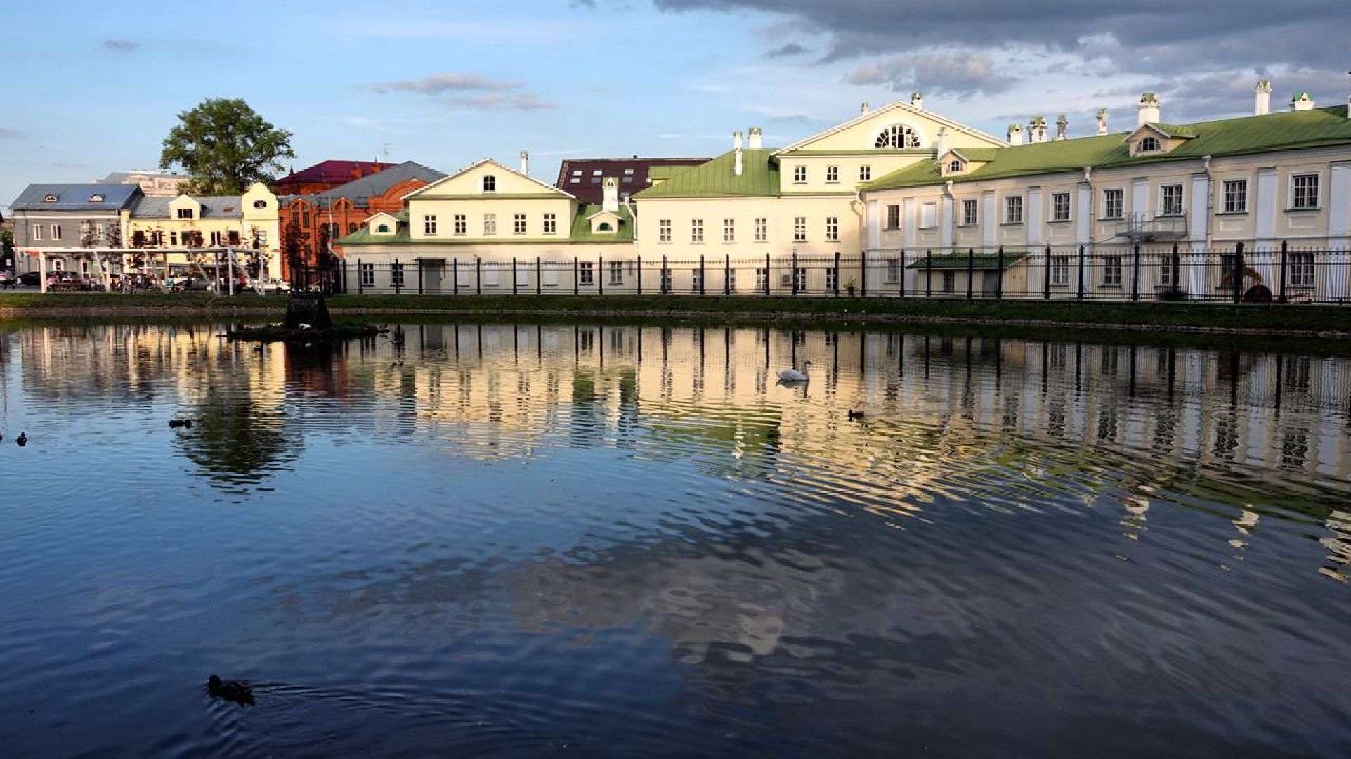 Сергиев Посад, Сергиево-Посадский городской округ, Лебеди, Потомство, Природа, Красота, Эксклюзив, Общество, Птицы,